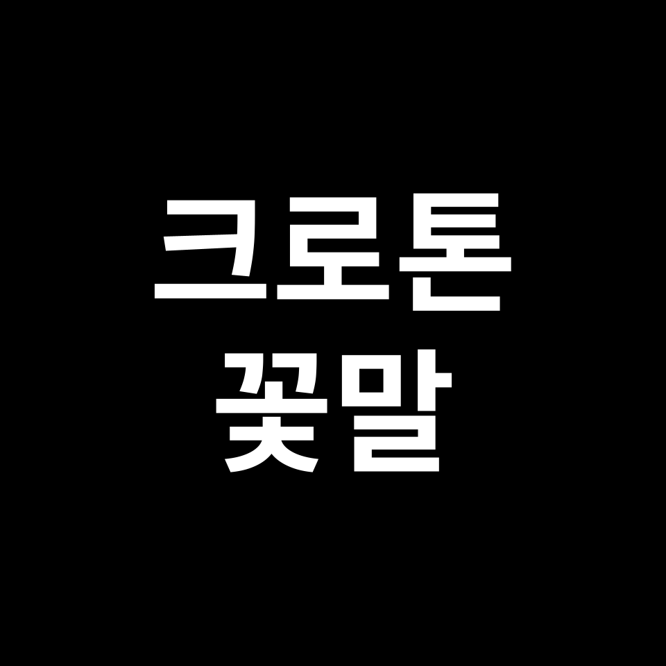 크로톤 꽃말 썸네일
