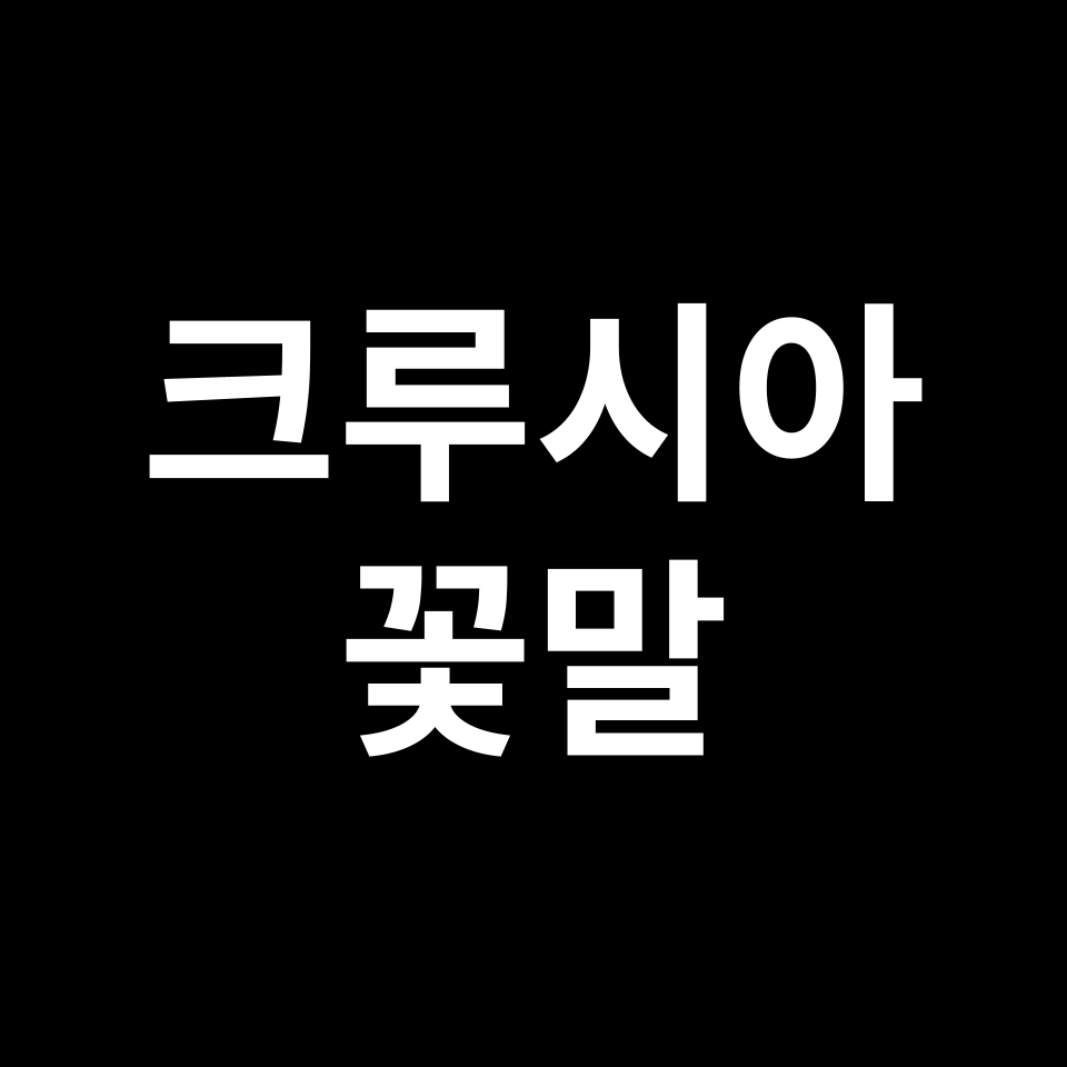 크루시아 꽃말 썸네일