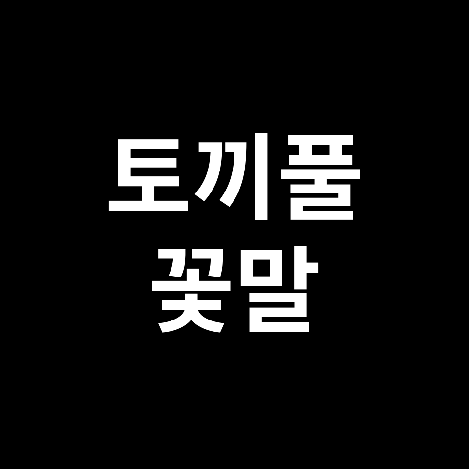토끼풀 꽃말 썸네일