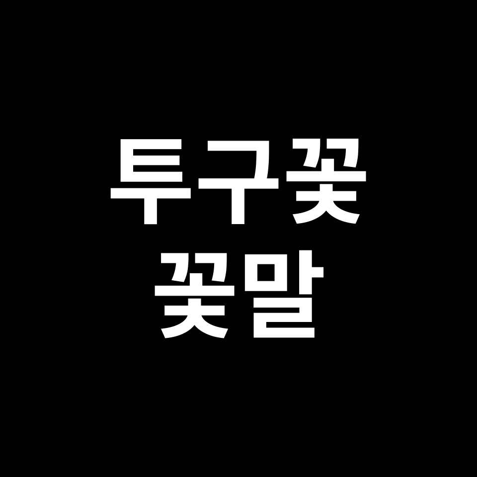 투구꽃 꽃말 썸네일