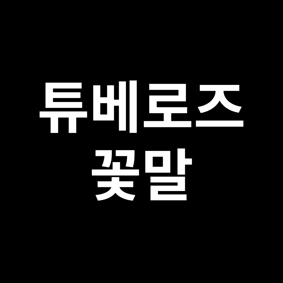 튜베로즈 꽃말 썸네일