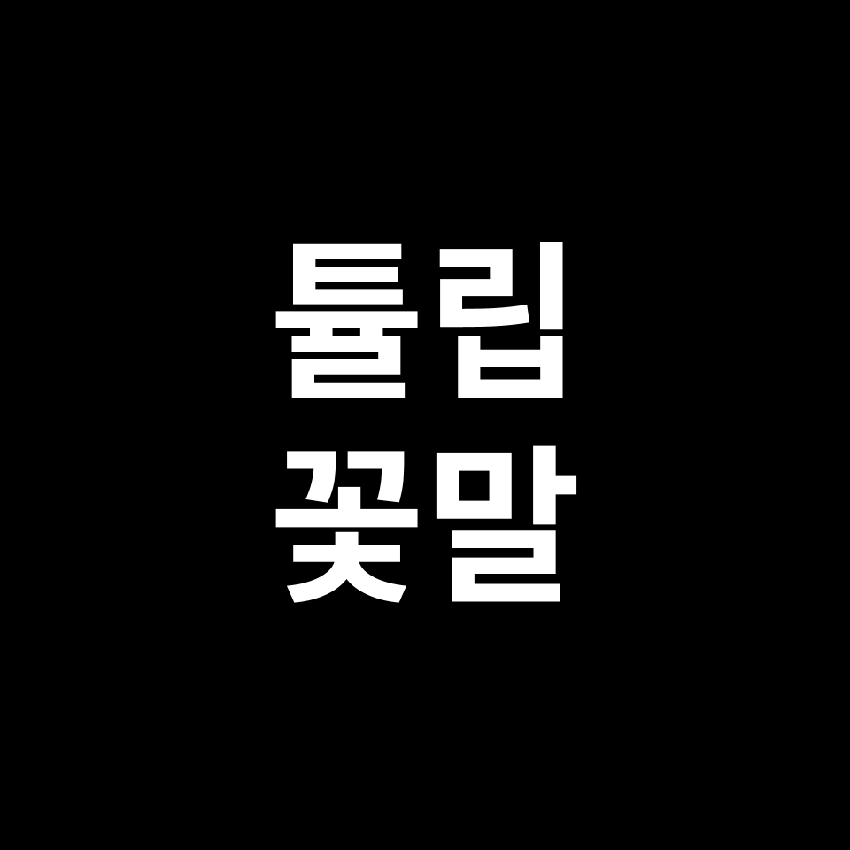 튤립 꽃말 썸네일
