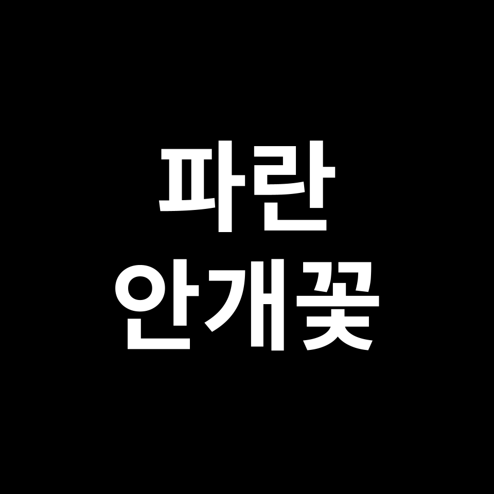 파란 안개꽃 꽃말 썸네일