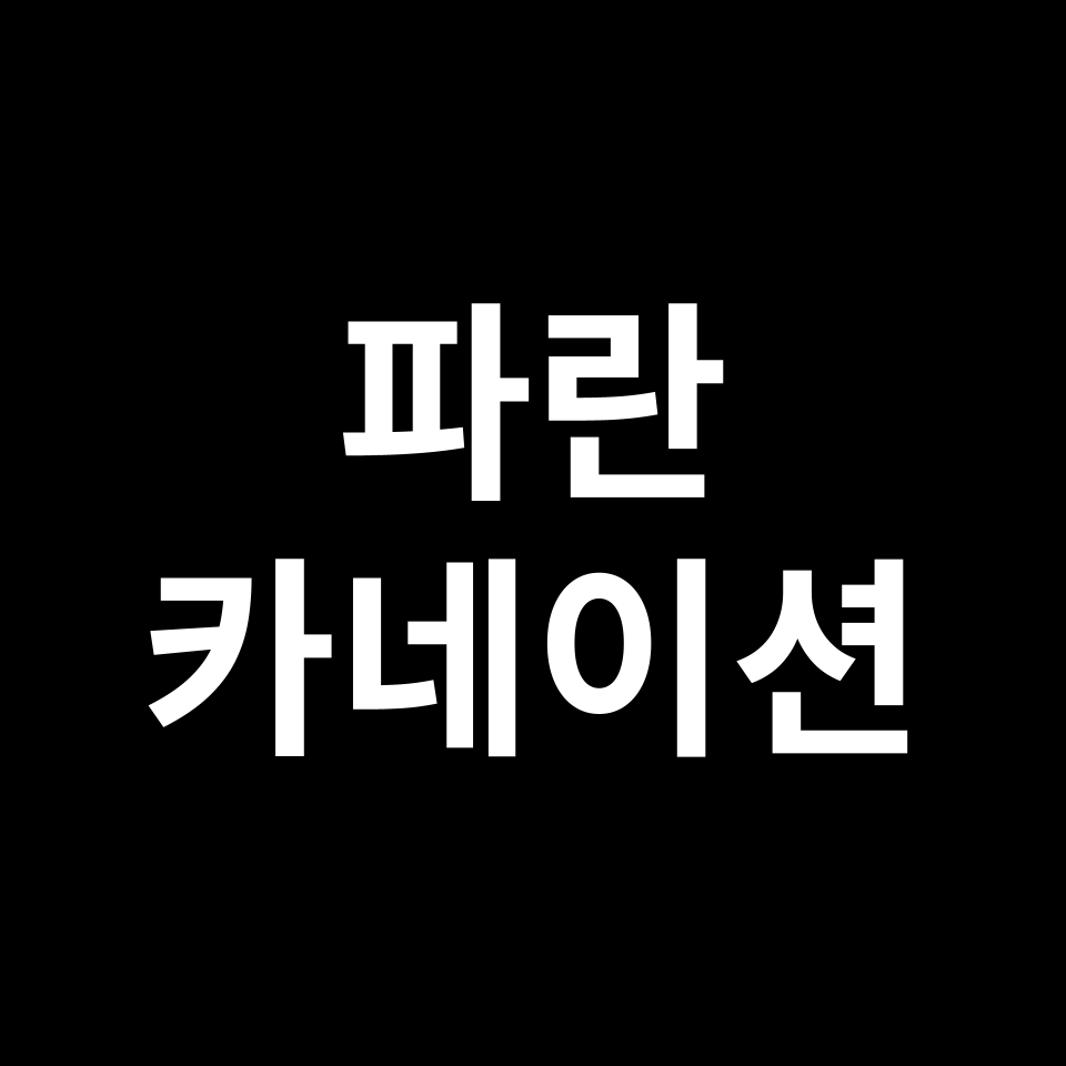 파란 카네이션 꽃말 썸네일