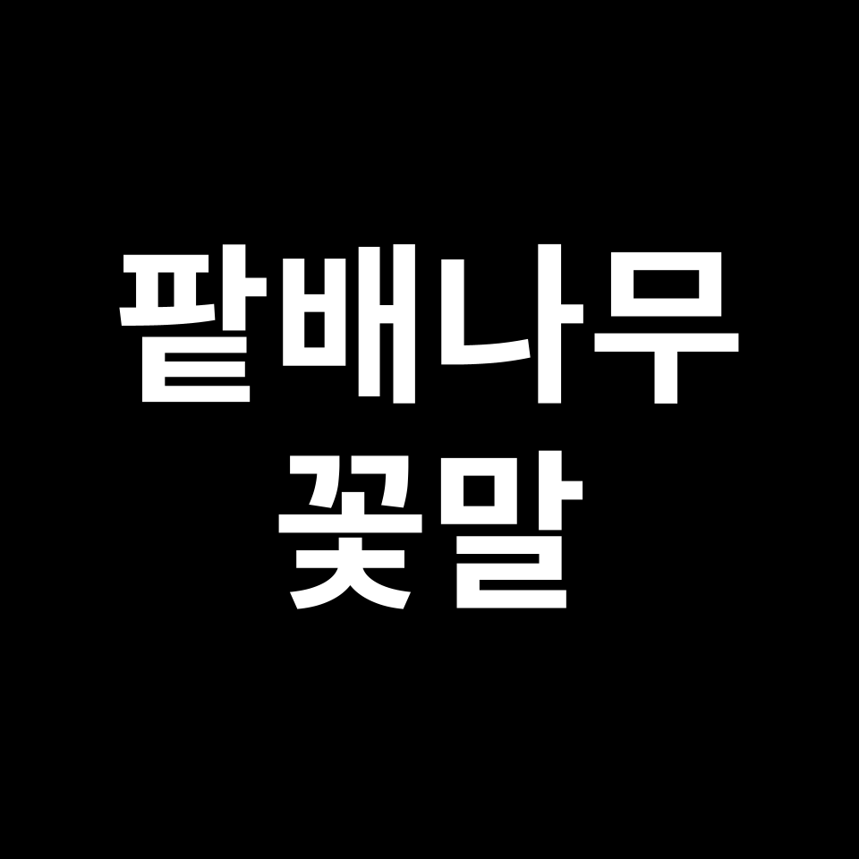 팥배나무 꽃말 썸네일