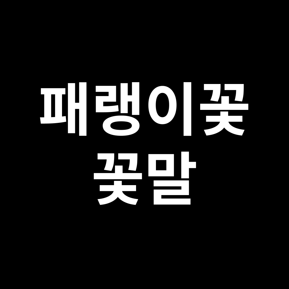패랭이꽃 꽃말 썸네일