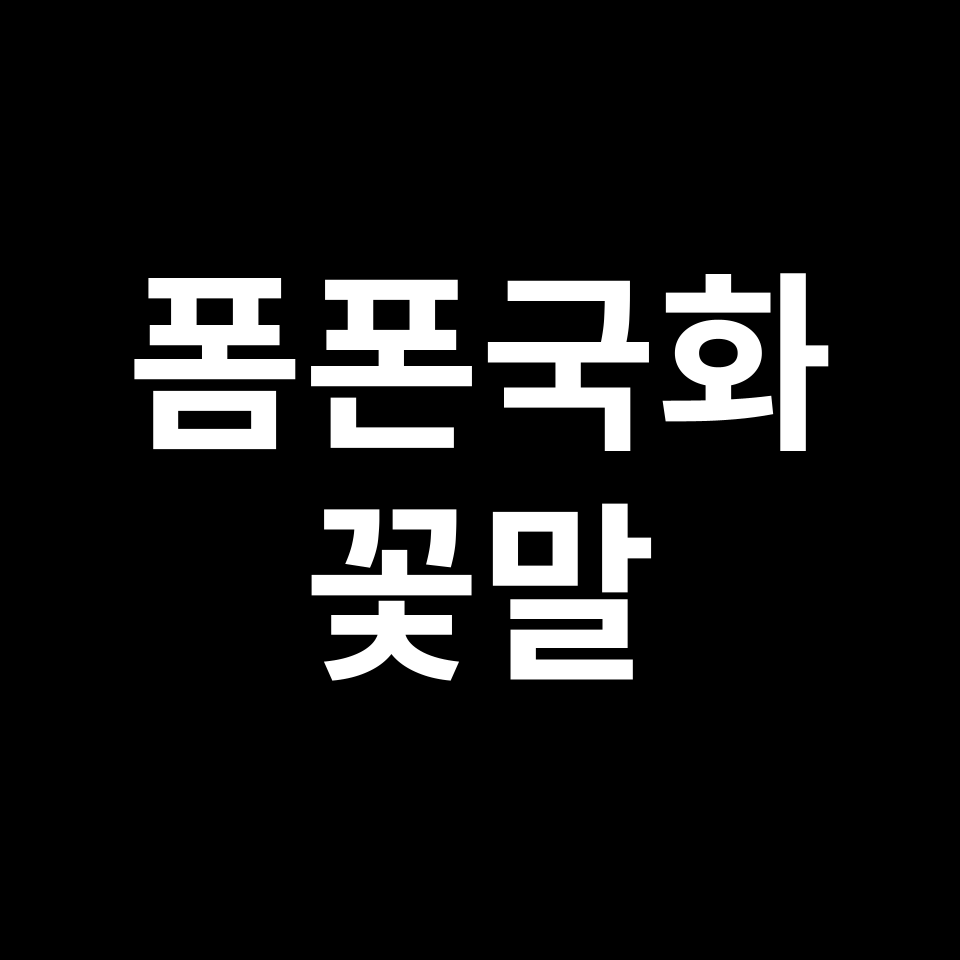 폼폰국화 꽃말 썸네일
