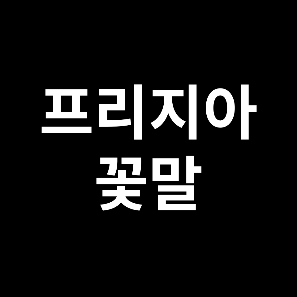 프리지아 꽃말 썸네일