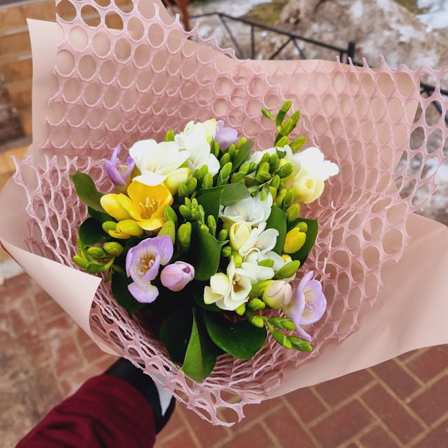 프리지아 꽃말
