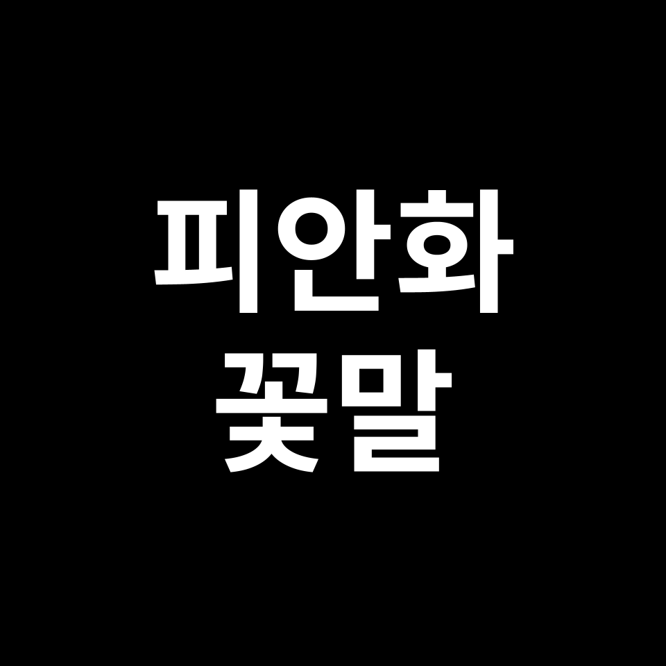 피안화 꽃말 썸네일
