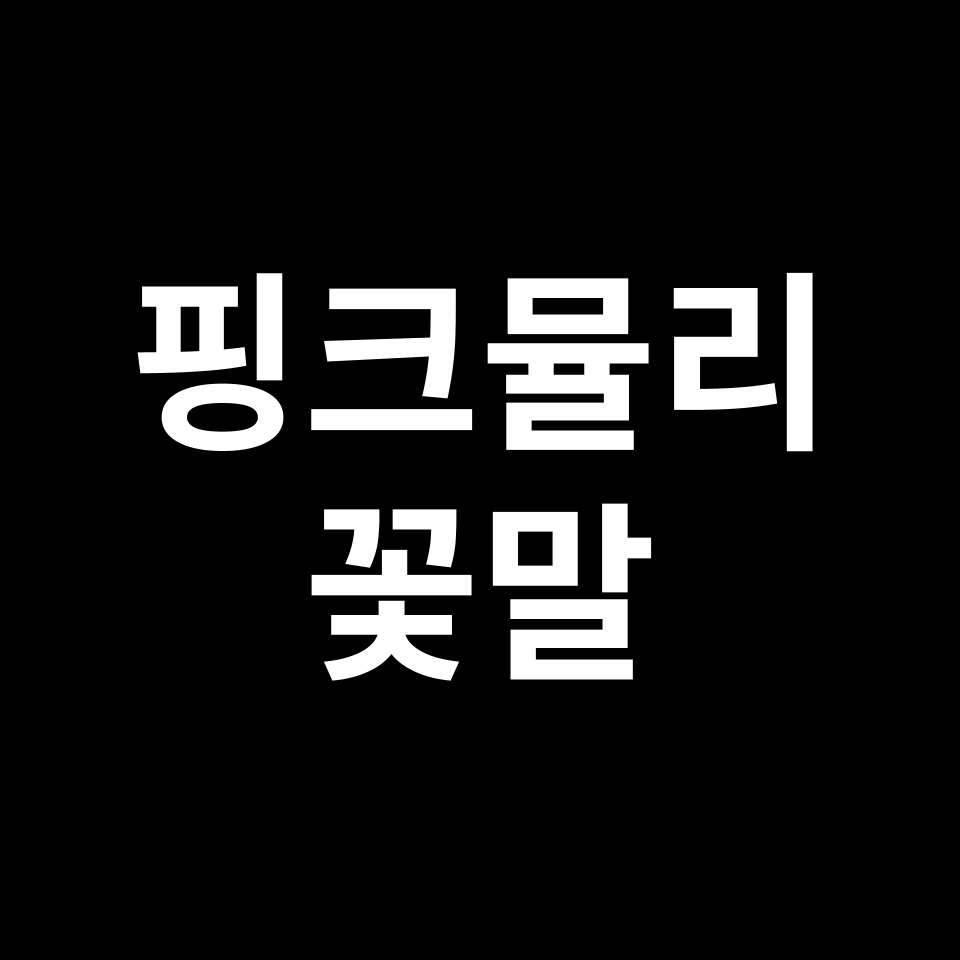 핑크뮬리 꽃말 썸네일