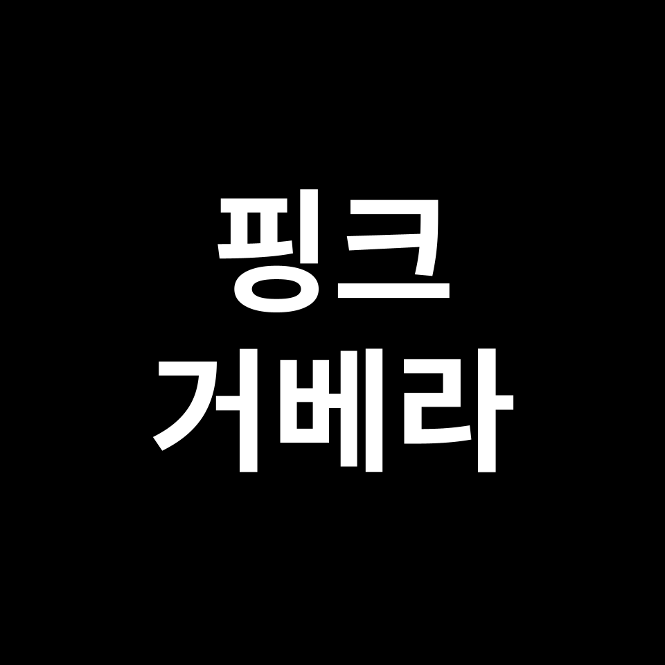 핑크 거베라 꽃말 썸네일