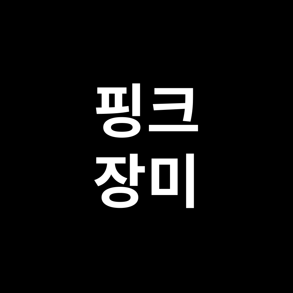핑크 장미 꽃말 썸네일