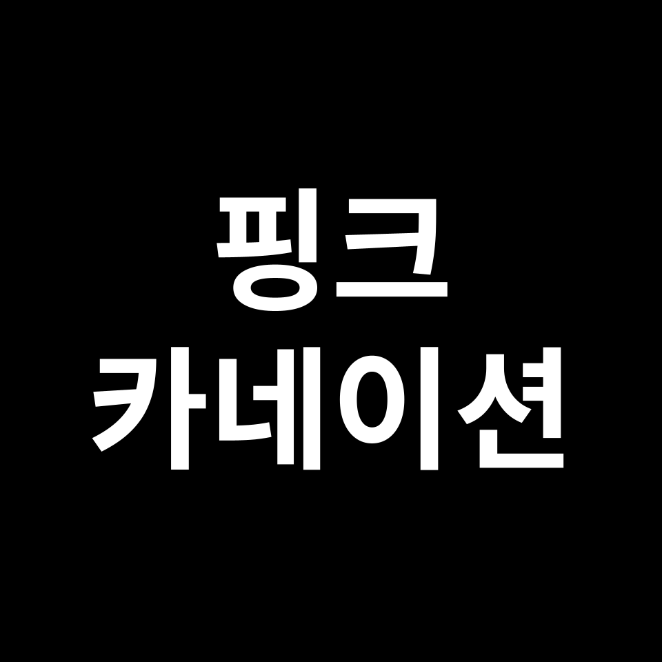 핑크 카네이션 꽃말 썸네일