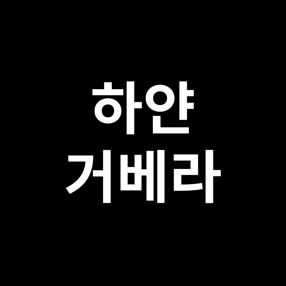하얀 거베라 꽃말 썸네일