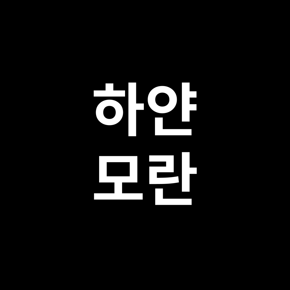 하얀 모란 꽃말 썸네일
