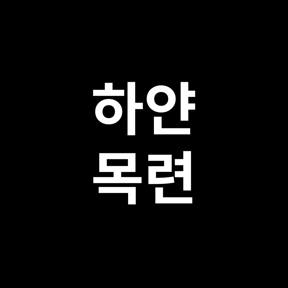 하얀 목련 꽃말 썸네일