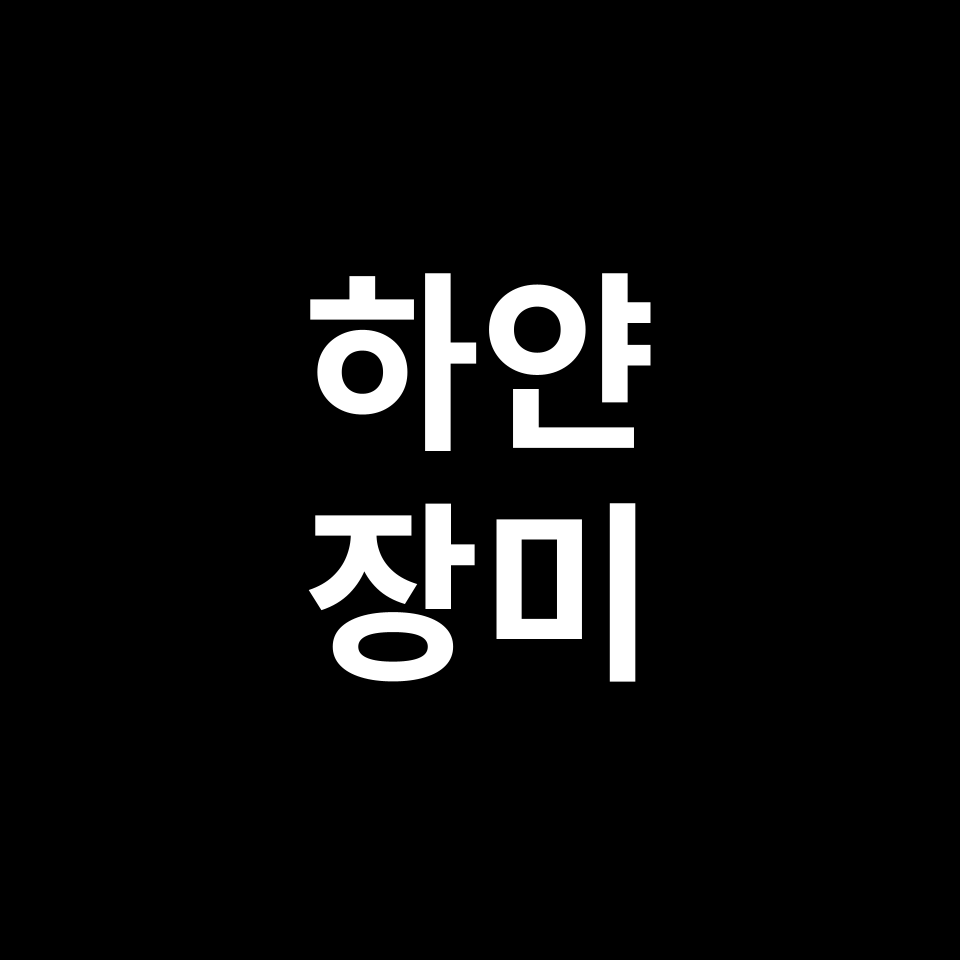 하얀 장미 꽃말 썸네일