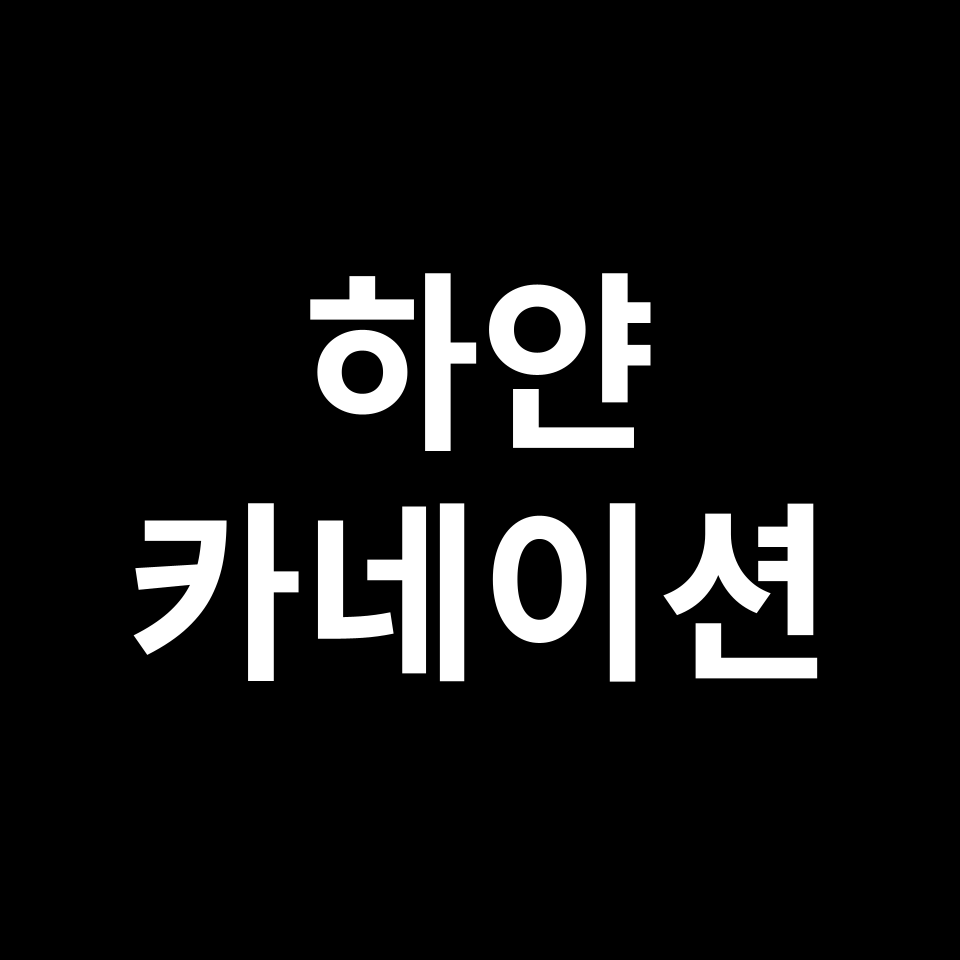 하얀 카네이션 꽃말 썸네일