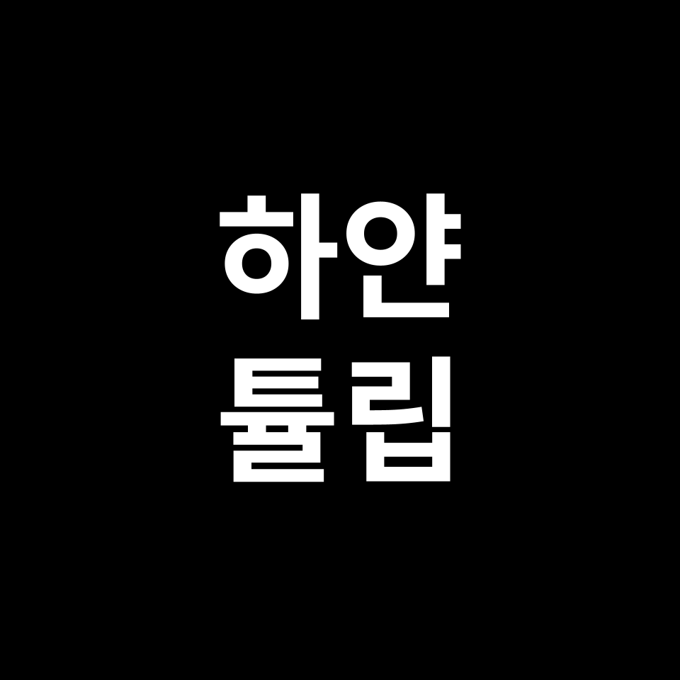 하얀 튤립 꽃말 썸네일