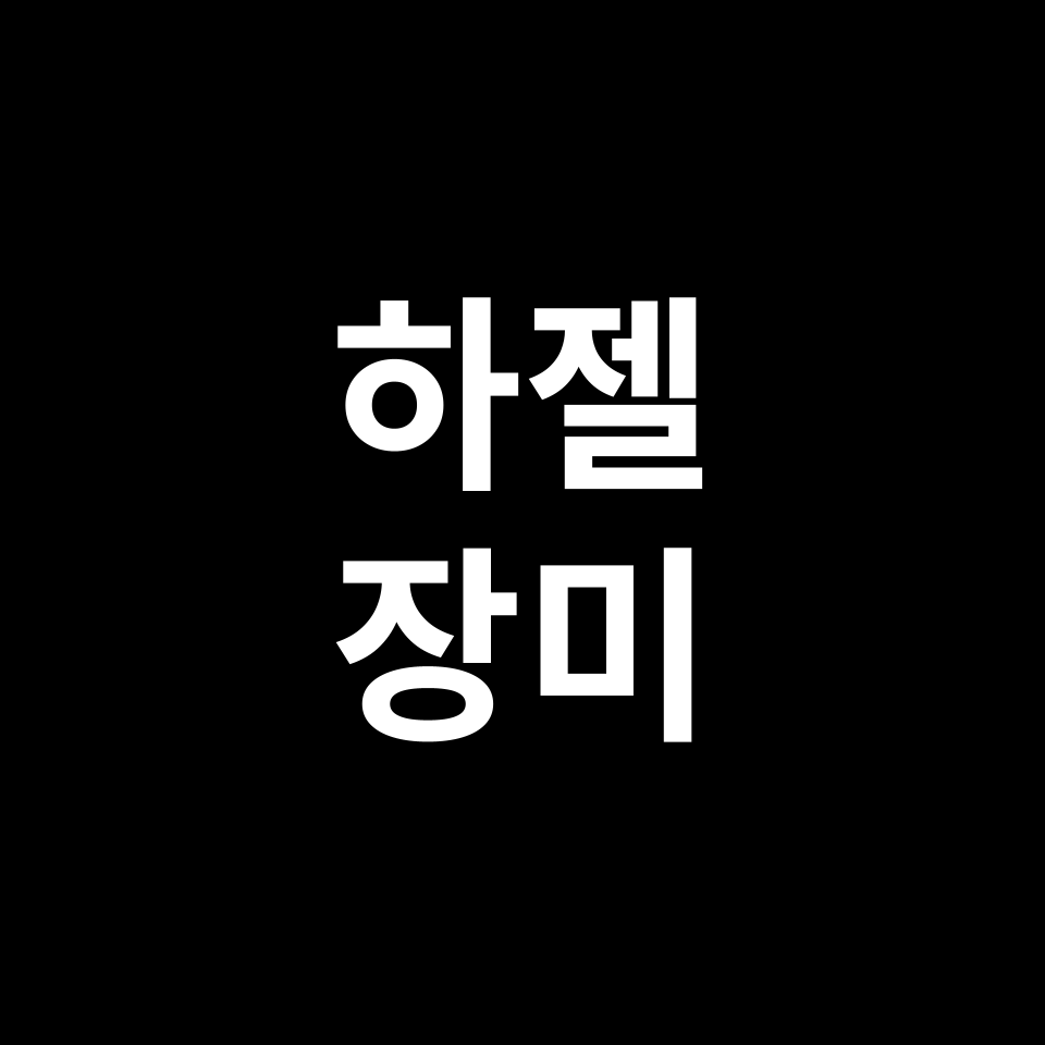 하젤 장미 꽃말 썸네일