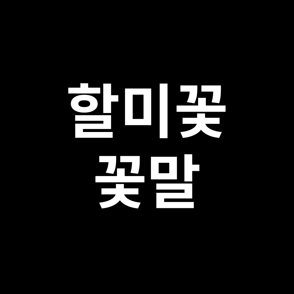 할미꽃 꽃말 썸네일