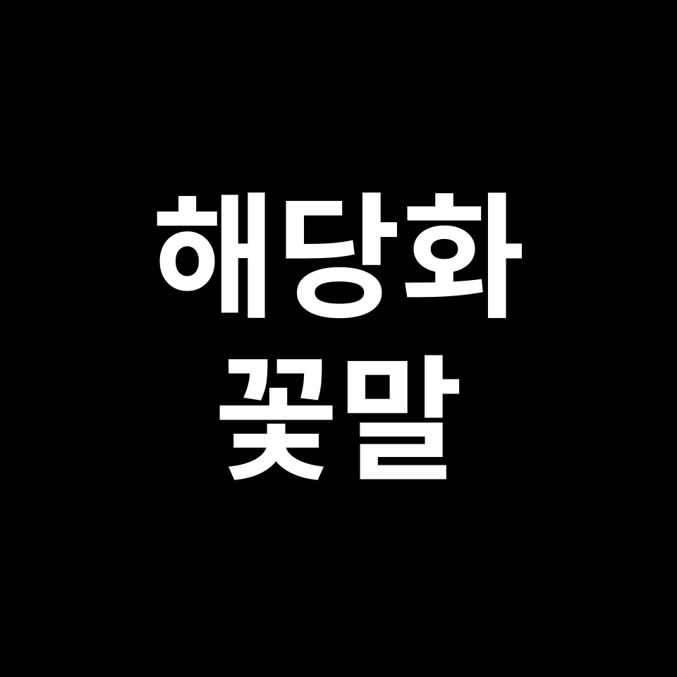 해당화 꽃말 썸네일