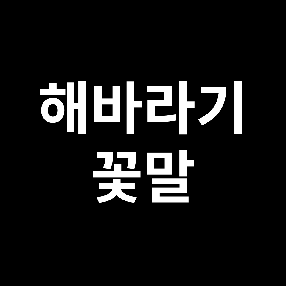 해바라기 꽃말 썸네일