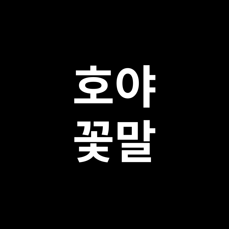 호야 꽃말 썸네일