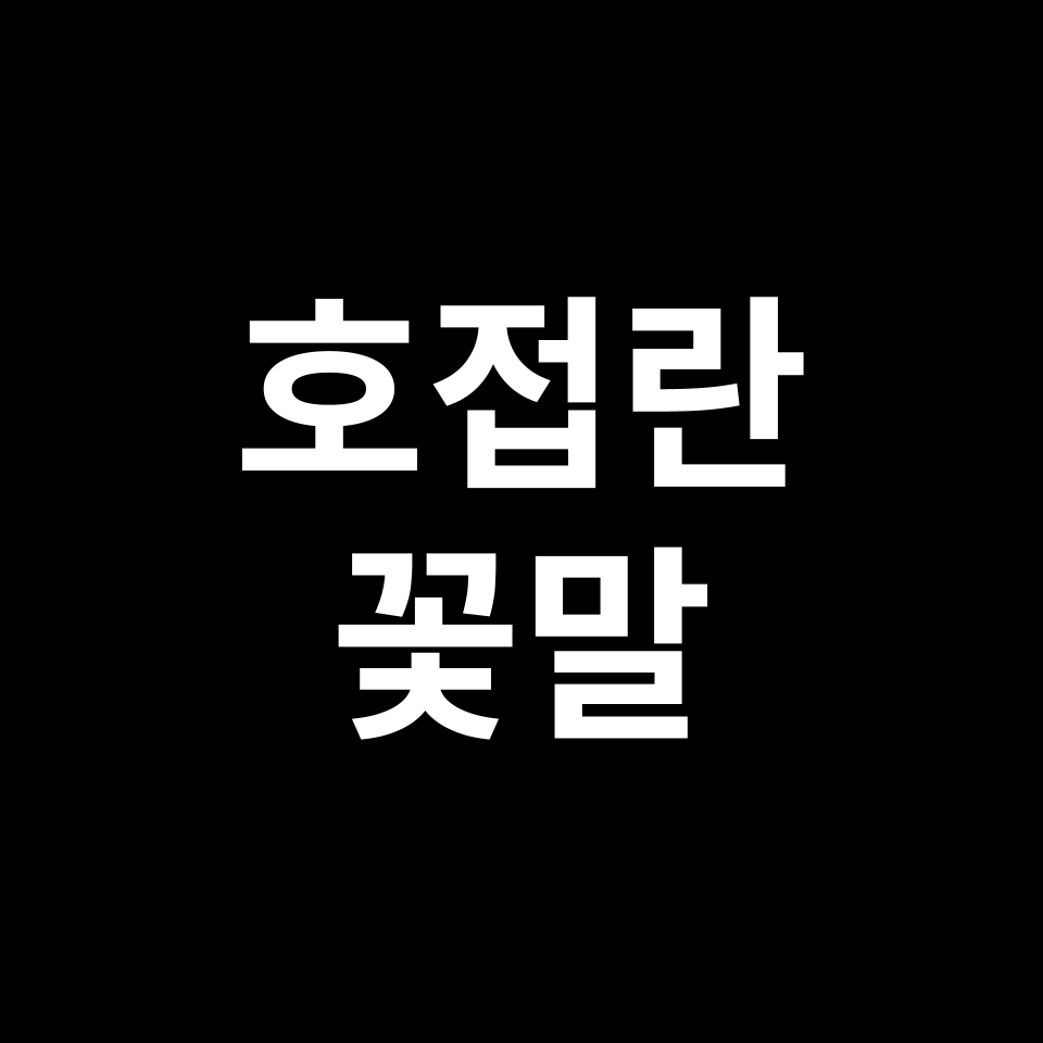 호접란 꽃말 썸네일