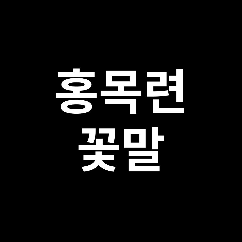 홍목련 꽃말 썸네일
