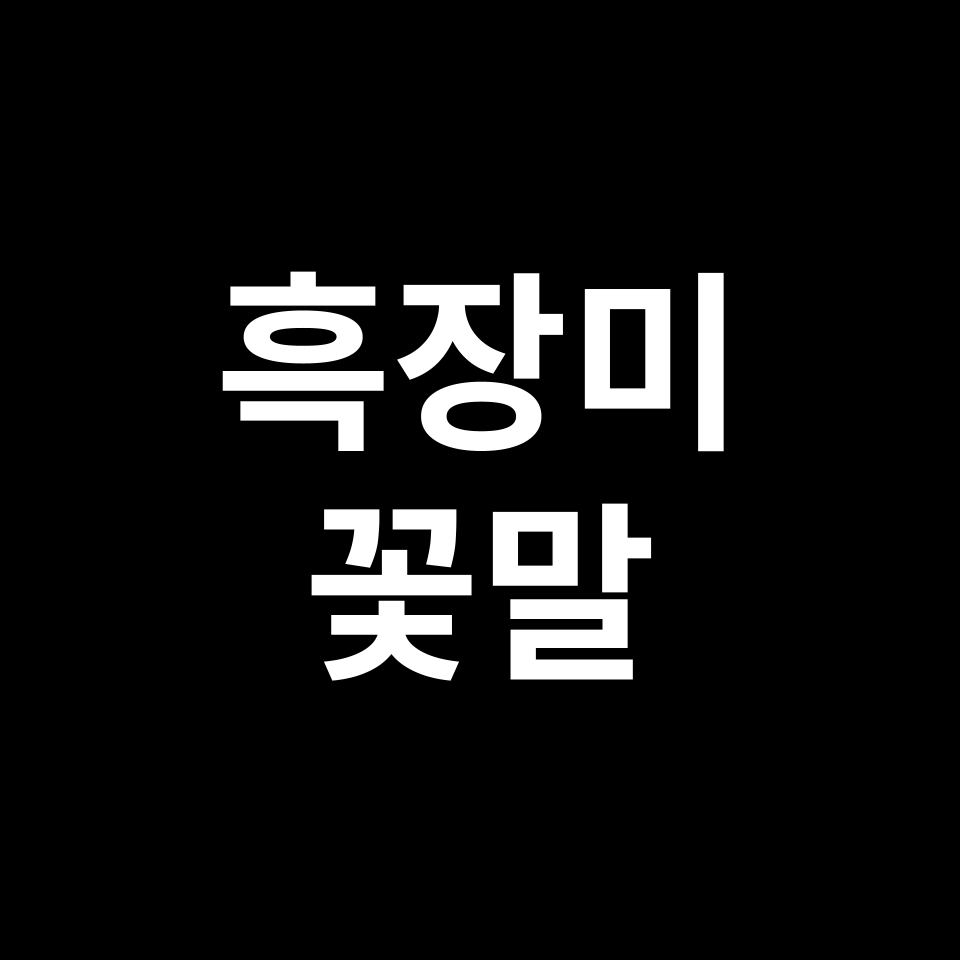 흑장미 꽃말 썸네일