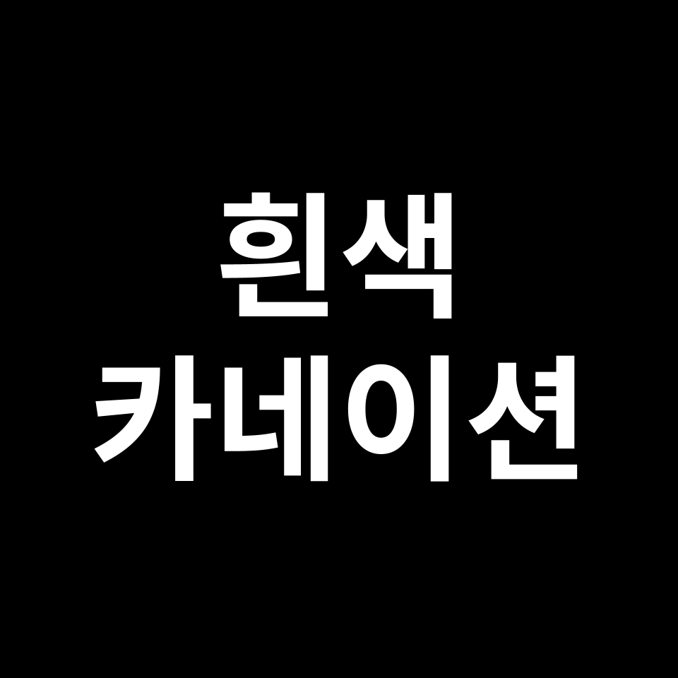 흰색 카네이션 꽃말 썸네일