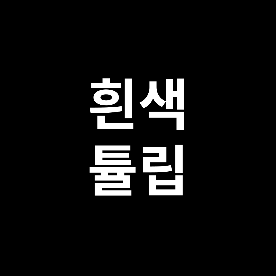 흰색 튤립 꽃말 썸네일