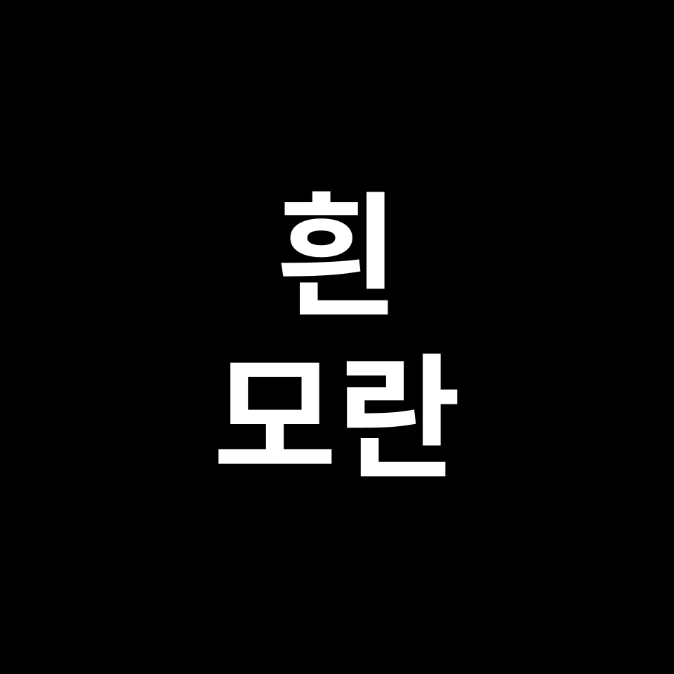 흰 모란 꽃말 썸네일