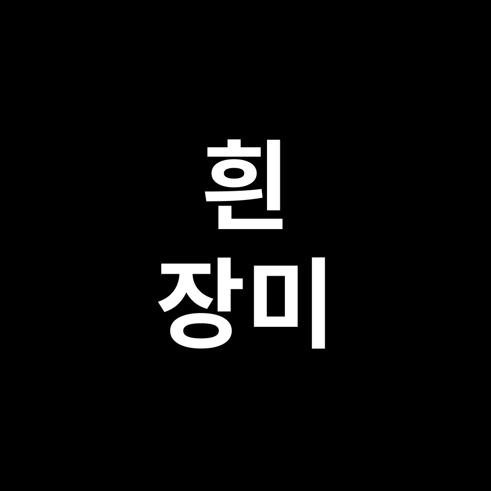 흰 장미 꽃말 썸네일
