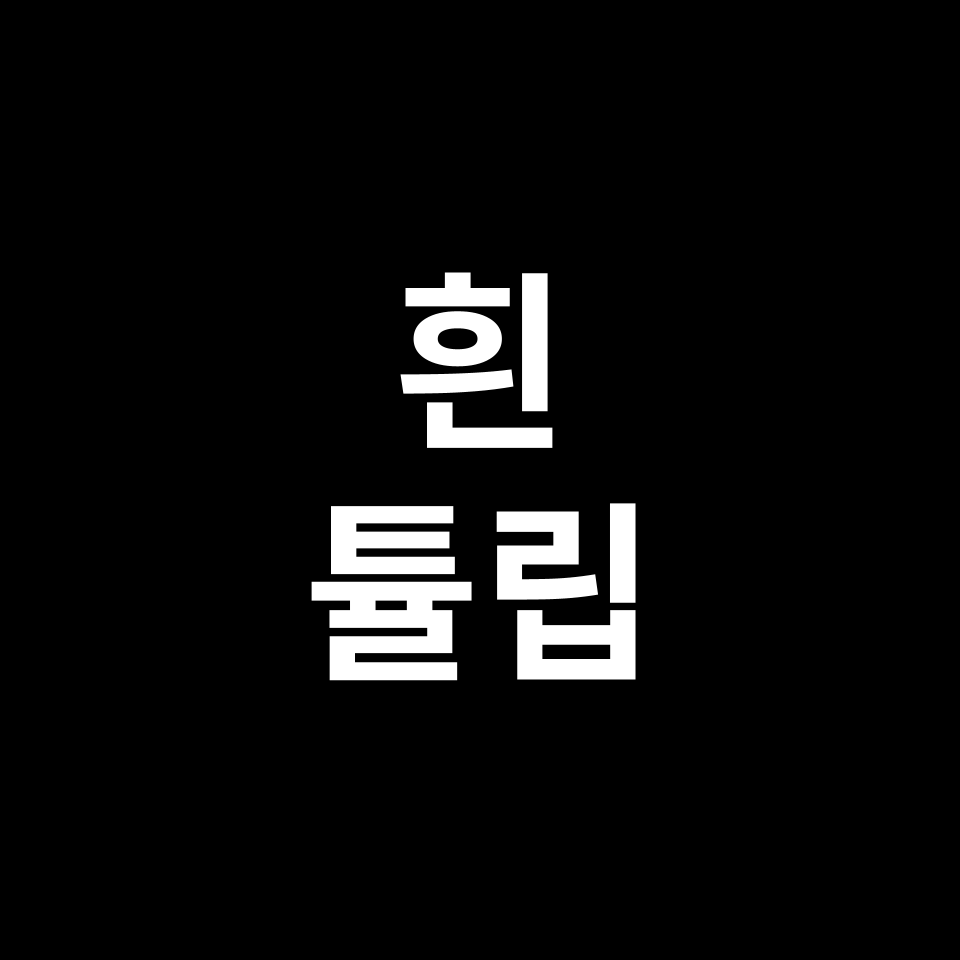 흰 튤립 꽃말 썸네일