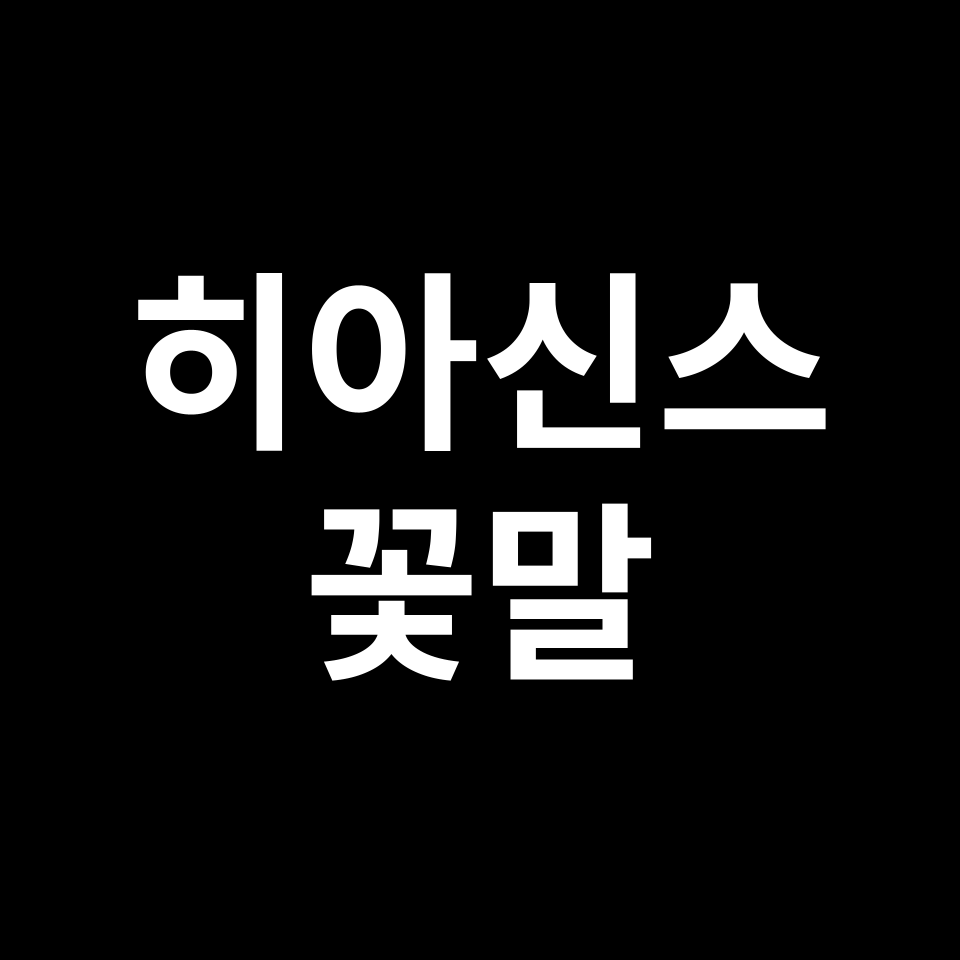 히아신스 꽃말 썸네일